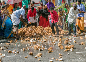 coconut cracking practice