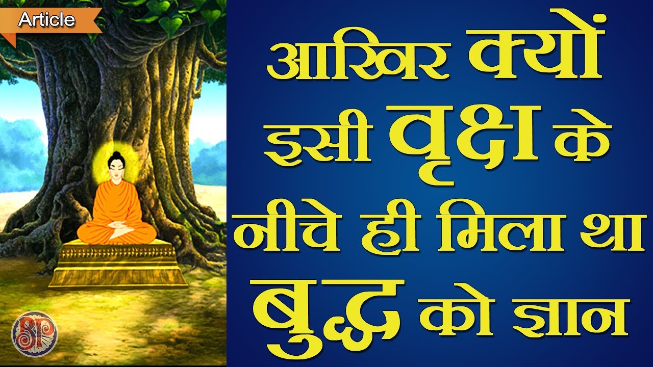 After all, why did Tathagata Buddha get knowledge only under this tree?